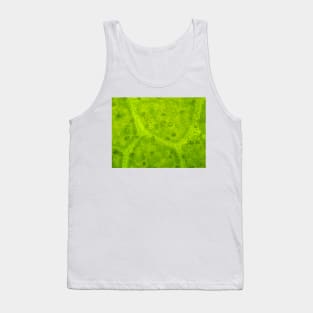 Magnolia leaf under the microscope Tank Top